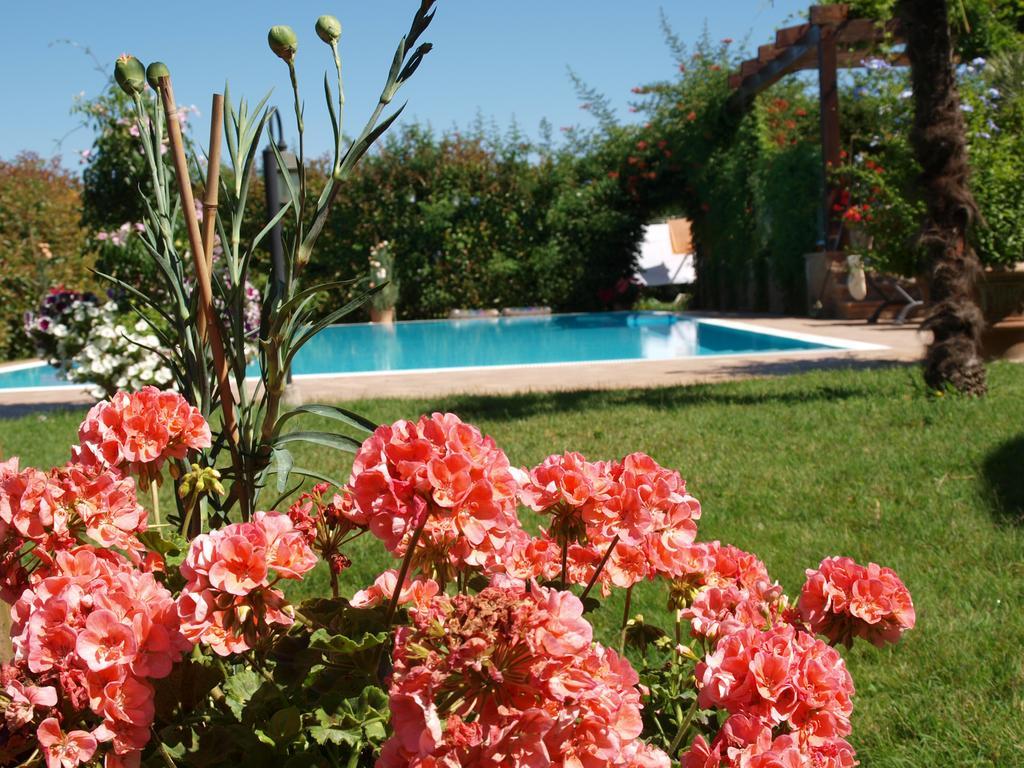 Villa Giusy B&B Cesena Zewnętrze zdjęcie